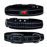 Tuff Pupper collar con asa de control para manejo seguro durante paseos.