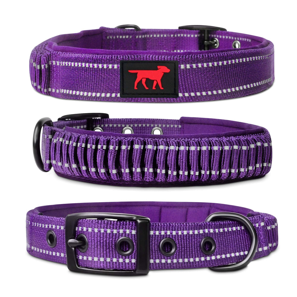 Collar Tuff Pupper con asa: control seguro al acercarse a la calle