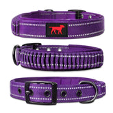 Collar Tuff Pupper con asa: control seguro al acercarse a la calle