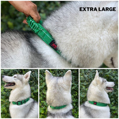 Tuff Pupper correa acolchada en neopreno para mayor confort