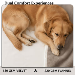 Protección de sofá con manta Tuffeel ideal para hogares con mascotas.