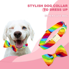 Collar arcoíris Tunkoo con hebilla metálica, seguro para perros activos