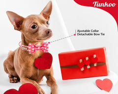 Tunkoo collar perro ajustable en tallas, seguro y cómodo durante el día.
