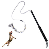 TwinkleTool Flirt Pole, perro interactivo: anima el juego y activa el ejercicio.
