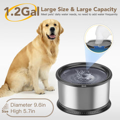 Twinsing bebedero 4.5L, capacidad visible para múltiples mascotas