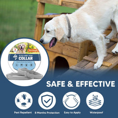 UDyoude collar antipulgas para perro grande listo para actividades diarias
