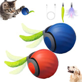 ugdurwp Speedy 2.0 con cola azul para gatos activos y curiosos