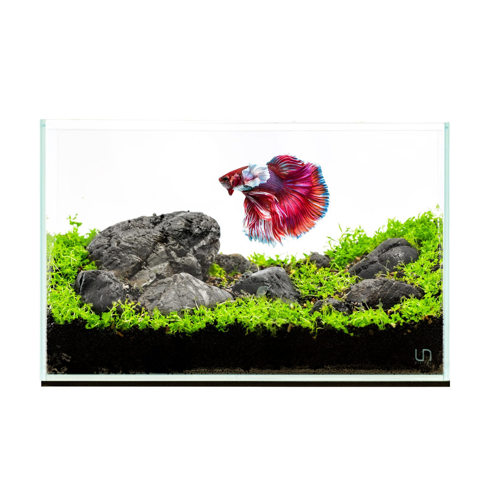Ultum Nature Systems acuario sin marco Ultra Clear con borde de 45 grados para vistas limpias.