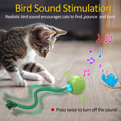 umosis modos-juego-rapido-lento-interactivo: tres variantes de juego para diferentes gatos