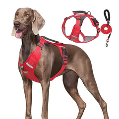 ARNÉS UNA MASCOTA no tirones ajustable y reflectante para paseos.