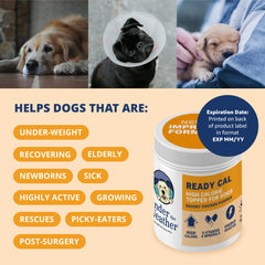 undertheweatherpet ganancia de peso rápida con calorías, complemento nutricional