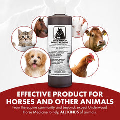 Underwood Horse Medicine, barrera con bicarbonato para la herida.