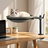 Unidevice Gato Cama Escritorio 360° giro para mayor visibilidad y compañía.