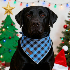 Bandana Unique Style Paws de algodón, diseño de calidad para ocasiones especiales.