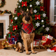 Bandana Unique Style Paws talla grande, perfecta para perros y gatos de mayor tamaño
