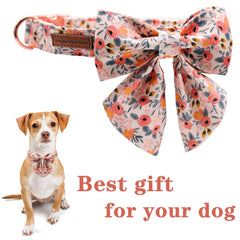 Unique style paws cierre metálico resistente, perfecto para paseos diarios.