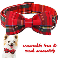 Unique Style Paws collar ajustable para perros y gatos, se adapta a varias tallas