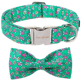 Collar Unique style paws con lazo de fresa, ideal para paseos con estilo.