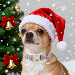 Unique Style Paws collar para interiores y exteriores en Navidad.