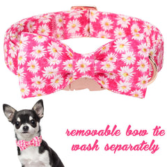 Unique style paws collar con flor rosada tipo margarita, ideal para estilos primaverales.