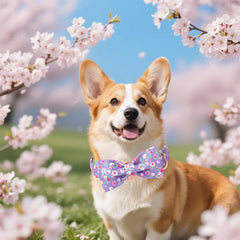 Unique Style Paws collar con hebilla ajustable para crecimiento