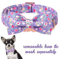 Unique Style Paws collar con lazo desmontable para personalizar
