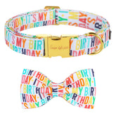 Unique Style Paws collar con lazo suave para paseos diarios y juego.