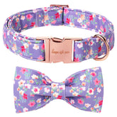 Unique Style Paws collar con lazo verde, ideal para paseos diarios