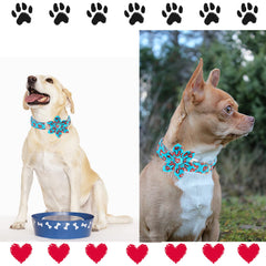 Pespunte doble Unique Style Paws refuerza puntos de tensión para mayor durabilidad.