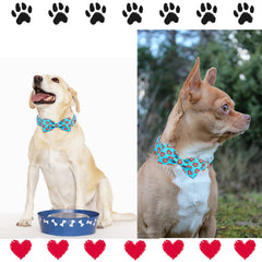 Unique style paws tallas ajustables para perros de distintos tamaños