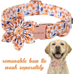Unique Style Paws collar con ajuste para tallas XS a XL