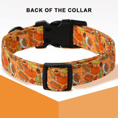 Unique Style Paws collar con maíz, duradero para juegos activos.