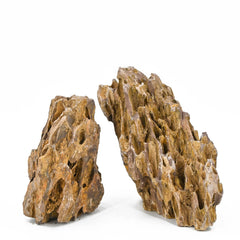Piedra Unocho dragón Seiryu para decoración, refugio y hábitat seguro.