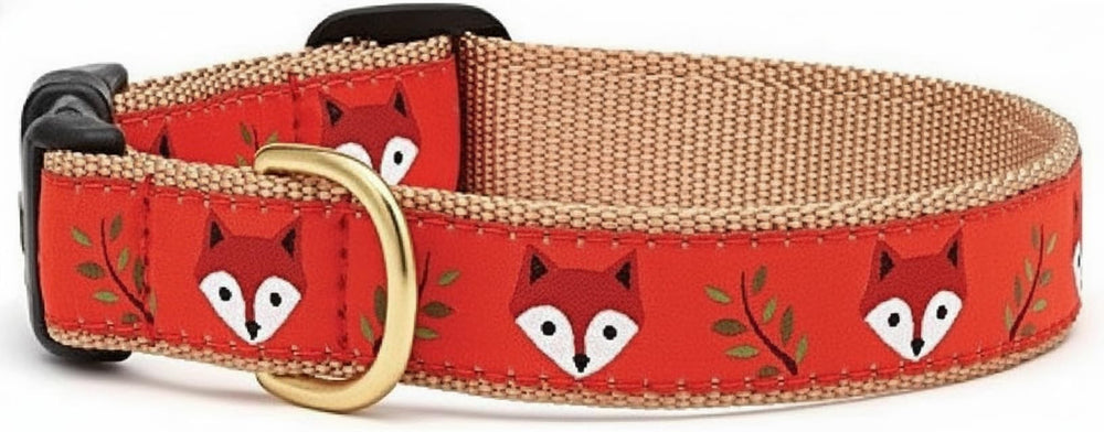 Up Country Foxy XS collar vista frontal, diseño duradero para paseos diarios.