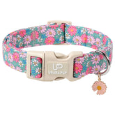 Collar UP URARA PUP con bandera americana para celebrar el verano con tu perro