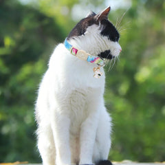 Collar UP URARA PUP azul claro, diseño ligero para juego cómodo.
