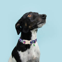 UP URARA PUP collar-material-coton-suave es cómodo para el cuello.