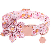 Collar UP URARA PUP con flor rosa para Noche de Brujas, cómodo para paseos.
