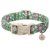 UP URARA PUP collar San Patricio ajustable para paseos cómodos