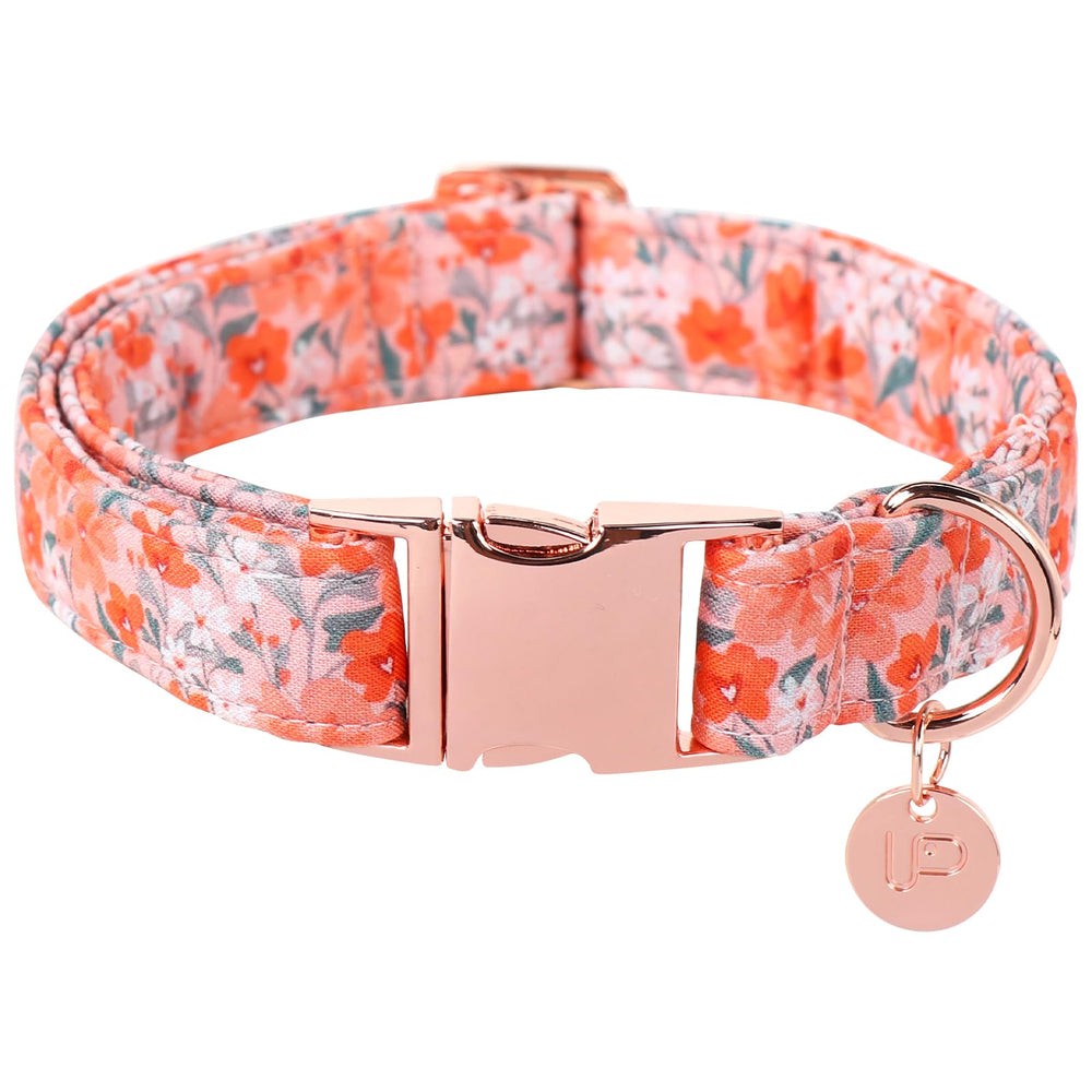 UP URARA PUP collar veraniego con ajuste práctico para perros.