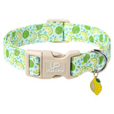 UP URARA PUP collar veraniego verde lima para perros, perfecto para paseos de verano.