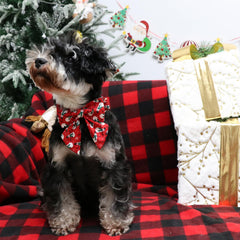 UP URARA PUP diseño navidad collar, perfecto para fotos.