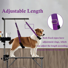Urciwos cuerda extensible para perro, ajuste rápido según tamaño