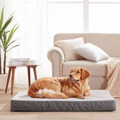 URGVANZ PET cama para perro con funda de felpa suave y cómoda.