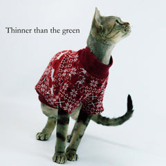 Gato usando la sudadera Urnat en invierno, sensación cálida diaria.