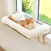 Valigogo funda cama cremallera para gato, facilita la limpieza en lavadora.