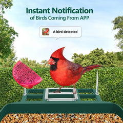 Vatjubi alimentador con camara, lente angular de 170° para descubrir más aves
