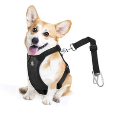 Cinturón de seguridad VavoPaw para perro en coche con ajuste seguro