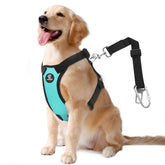 VavoPaw cinturon seguridad perro vehiculo azul XL para viajes seguros