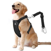 VavoPaw cinturon seguridad perro para coche, seguridad en viaje